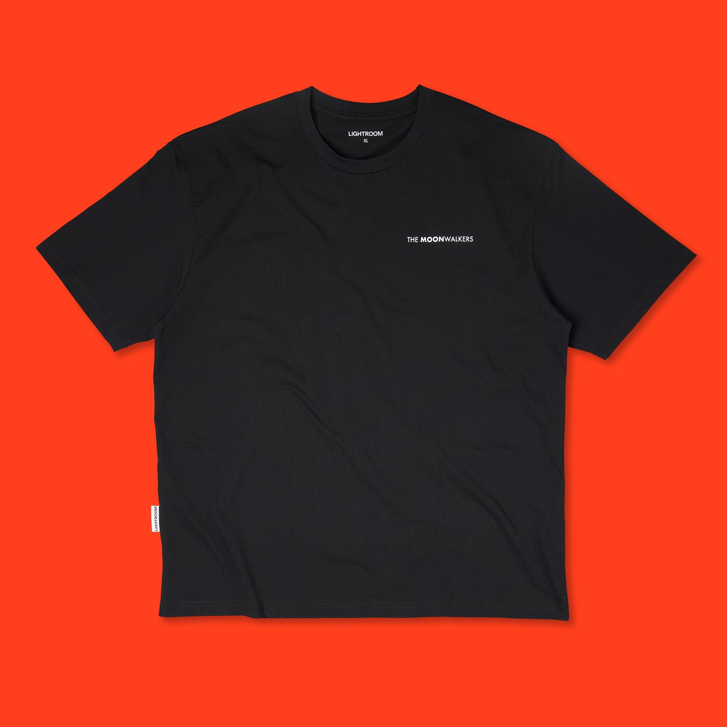 Lunar Surface t-shirt