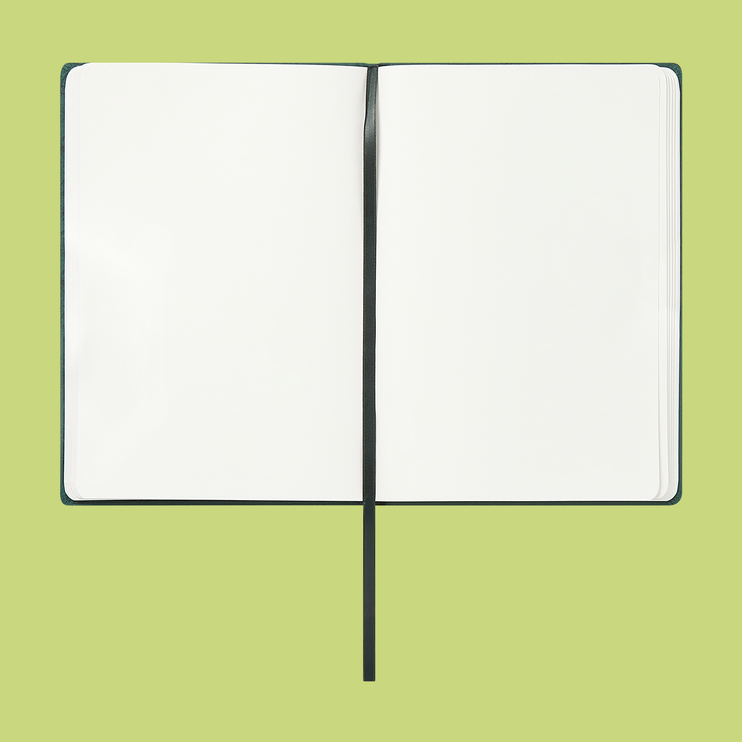 Show Notes notebook (green)