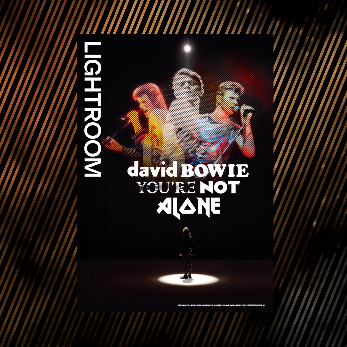 David Bowie: You're Not Alone Poster