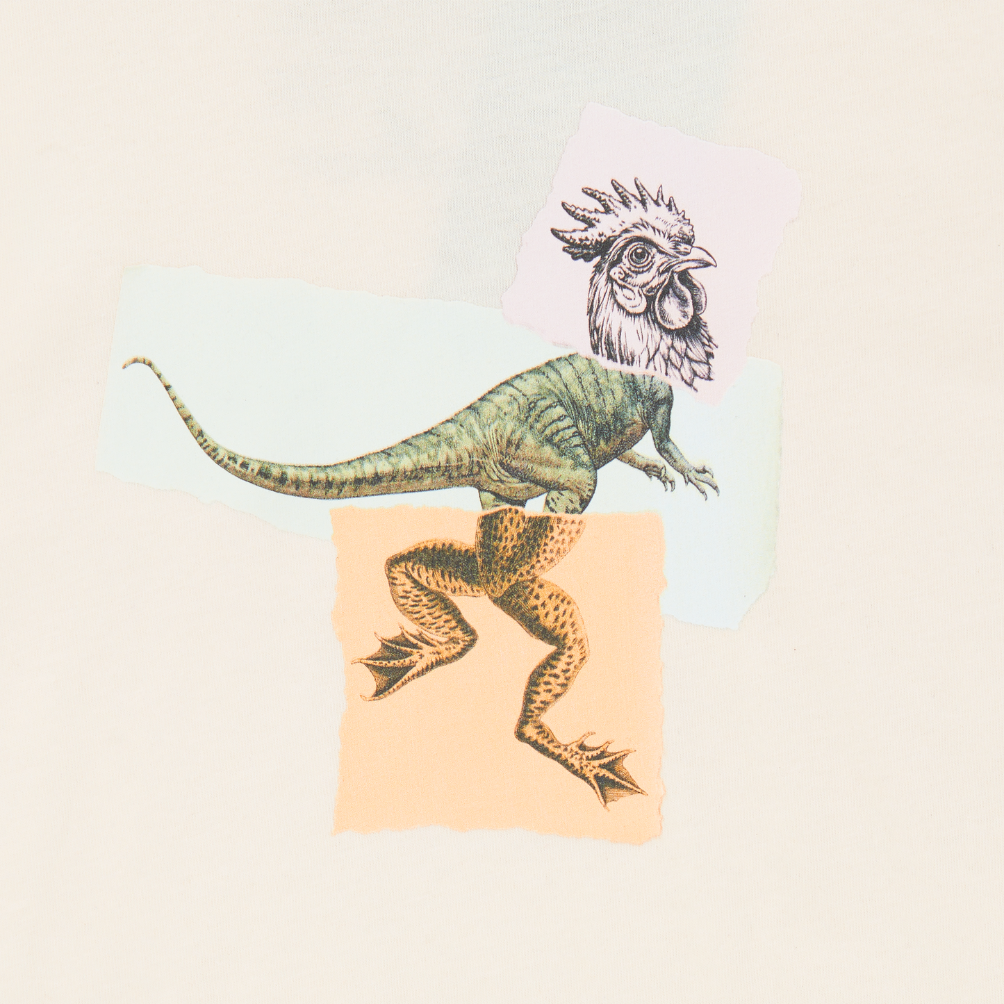 Exquisite Chicken kids tee (ecru)