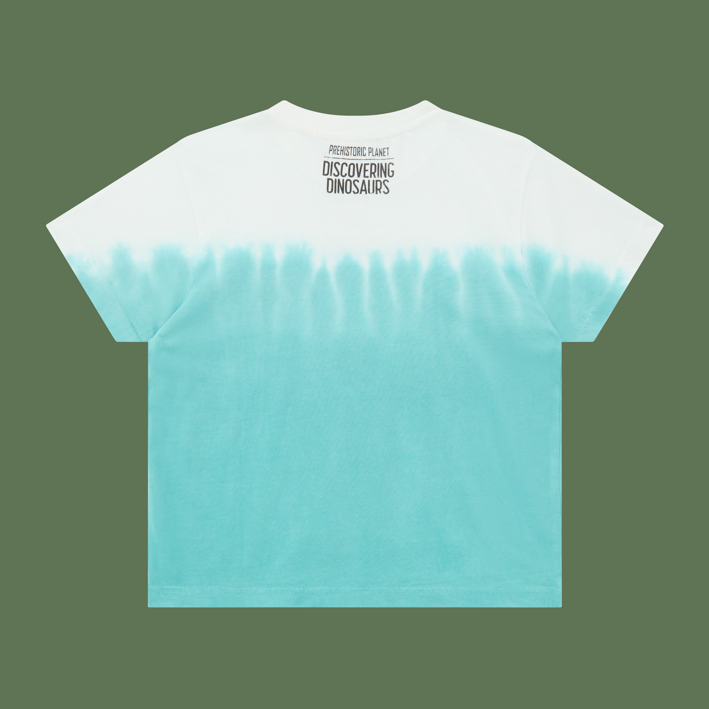 Dip Dye kids tee