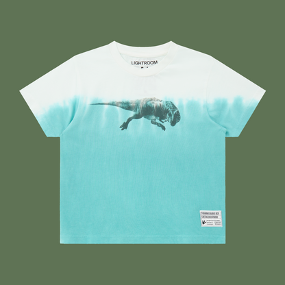 Dip Dye kids tee