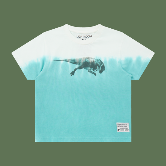 Dip Dye kids tee
