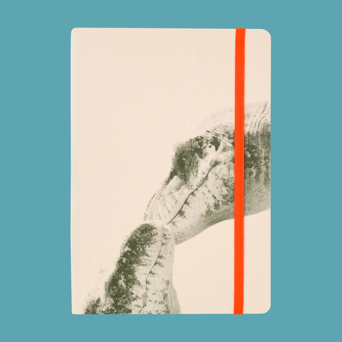 T. Rex notebook