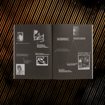David Bowie You're Not Alone programme