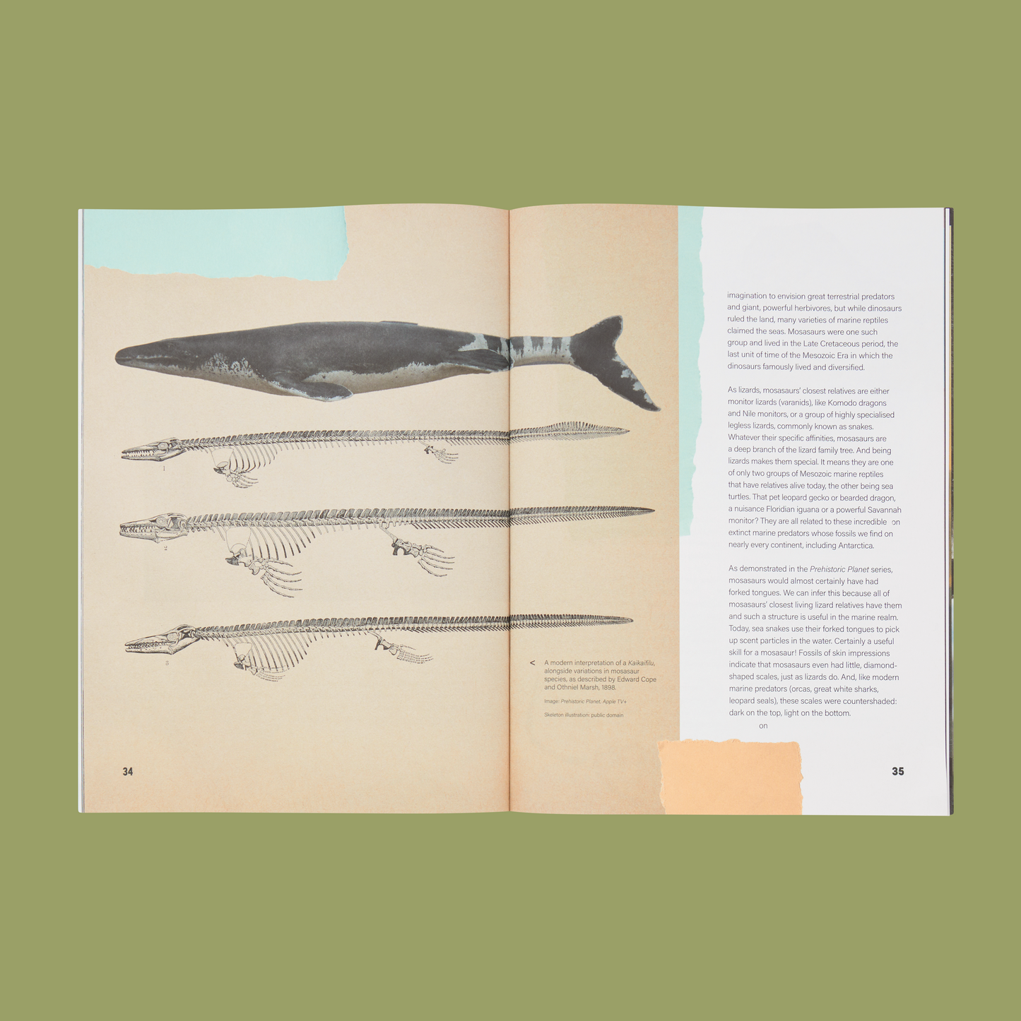 Prehistoric Planet: Discovering Dinosaurs programme