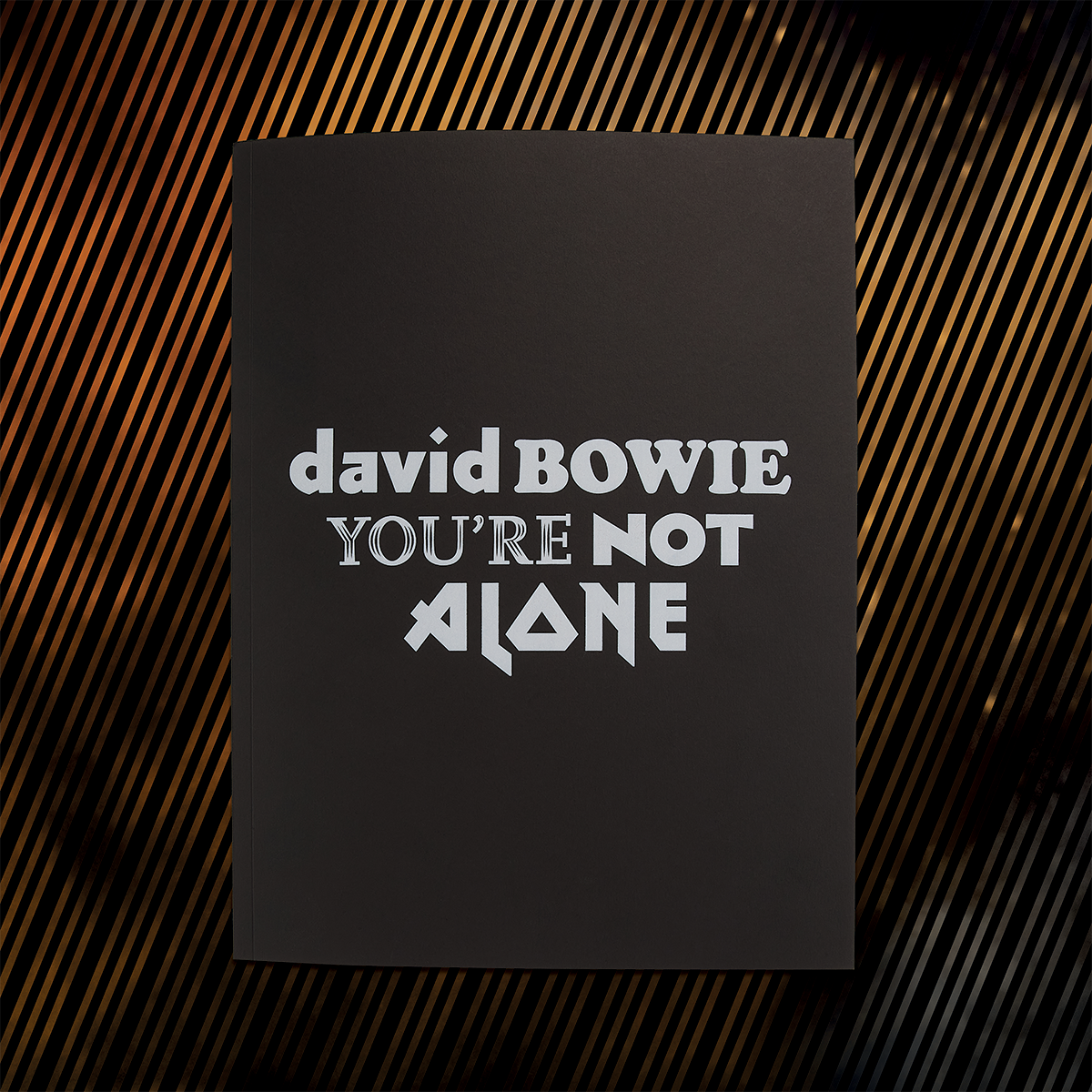 David Bowie You're Not Alone programme